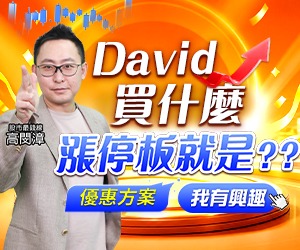 20261014 David買什麼 300x250.JPG (圖)